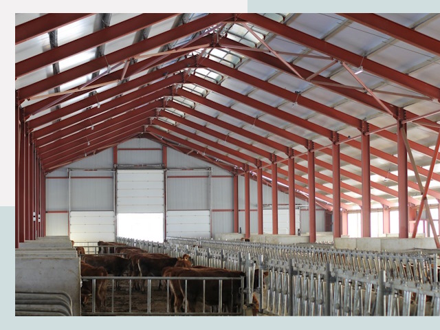 Строительство коровников в Железногорске