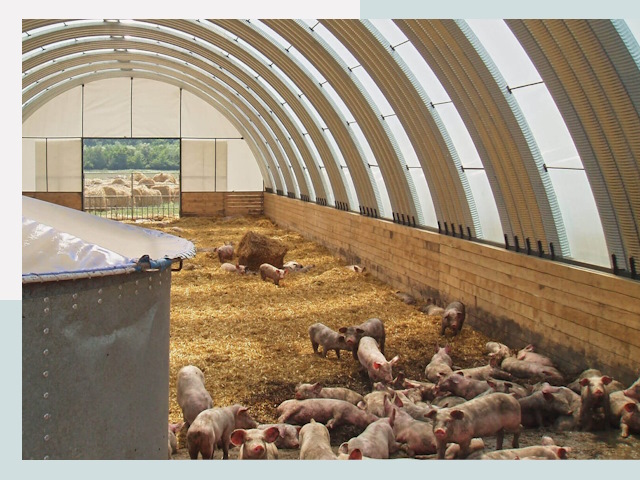 Строительство свинарников в Железногорске